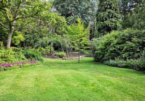 Optimiser l'expérience du jardin à Montaiguet-en-Forez
